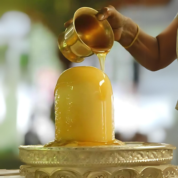 સોમનાથ ચાંદીની જળધારી